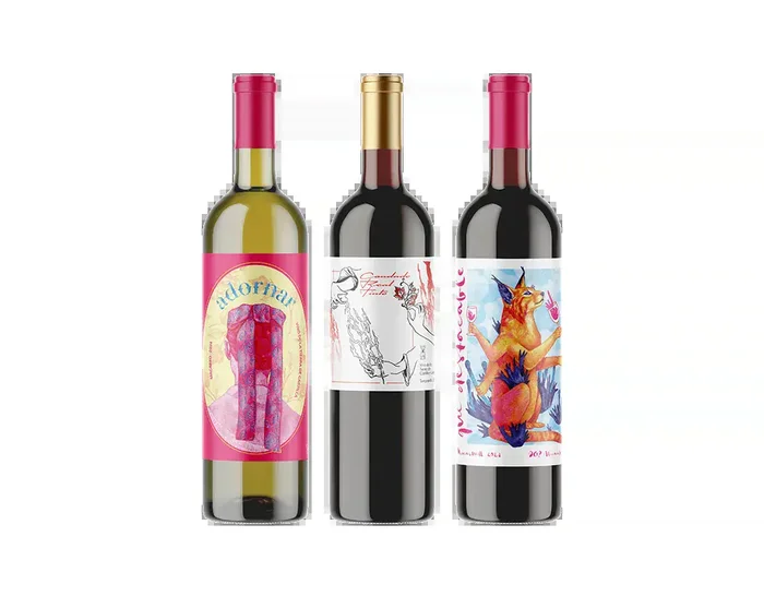 Spain 3 Mixed Wine Collection