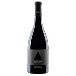 Trentino DOC Pinot Nero Cembra Cantina di Montagna 2021 0,75 ℓ