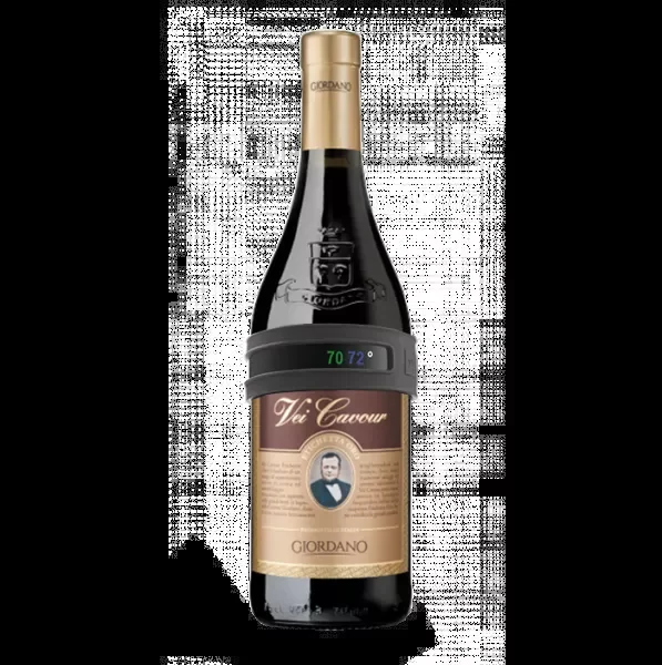 Vacu Vin Flaschenthermometer