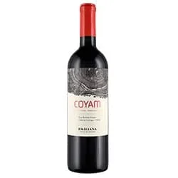 Valle de Colchagua DO Coyam Emiliana 2020 0,75 ℓ