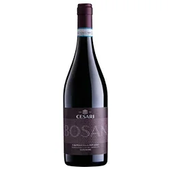 Valpolicella Ripasso Superiore DOC Bosan Gerardo Cesari 2019 0,75 ℓ