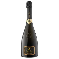 Vino Espumoso Blanc de Blancs Brut Nature Can Rich 2022 0,75 ℓ