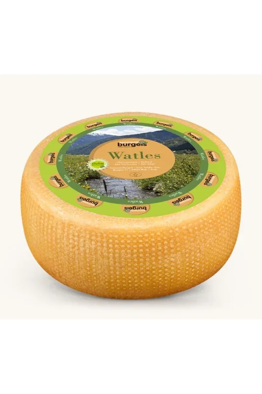 Watles formaggio da taglio forma intera ca. 2,4 kg Latteria Burgusi…