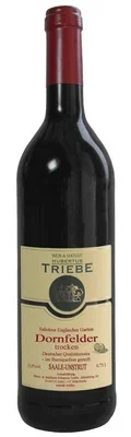 Wein Saale Unstrut Dornfelder 2018 trocken Weingut Hubertus Triebe Deutscher Qualitätswein Salsitzer Englischer Garten Barrique