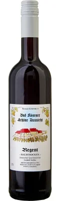 Wein Saale Unstrut Rotwein Regent 2023 feinherb Weingut Schulze Deutscher Qualitätswein Kloster Posaer Klosterberg Zeitz