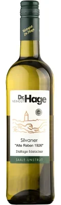 Wein Saale Unstrut Weißwein Silvaner 2023 feinherb Weingut Dr. Hage Deutscher Qualitätswein Freyburger Edelacker
