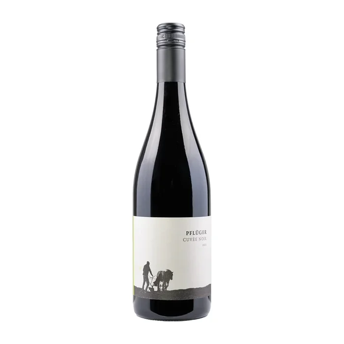 Weingut Pflüger | Cuvée Noir | 2023