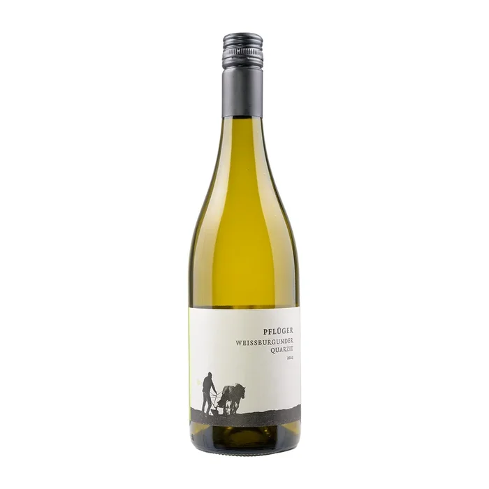 Weingut Pflüger | Weißburgunder Quarzit | 2024