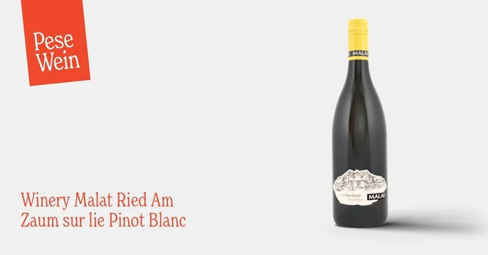 Winery Malat Ried Am Zaum sur lie Pinot Blanc 2024