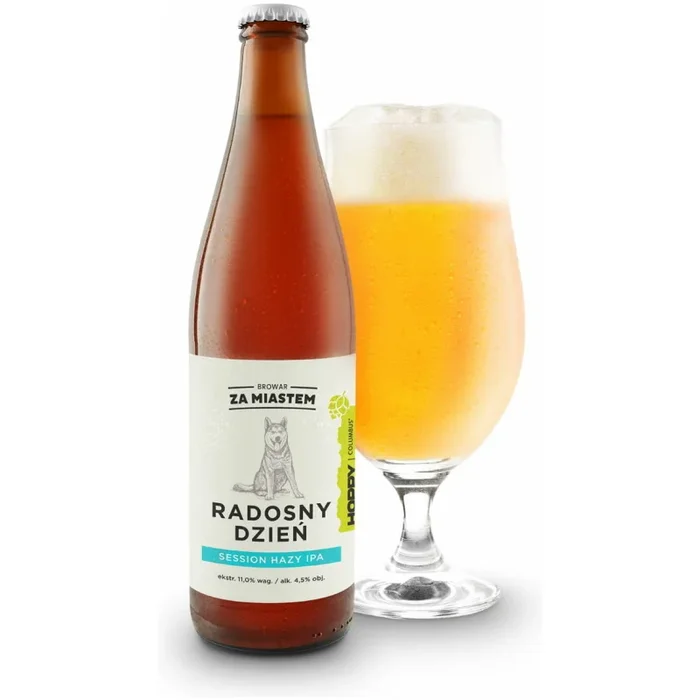 ZA MIASTEM RADOSNY DZIEŃ Session Hazy Ipa